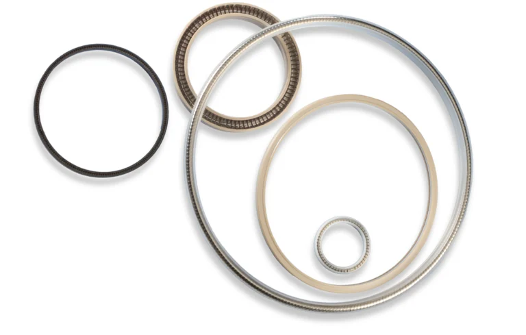 Metal spring energized (MSE®) seals